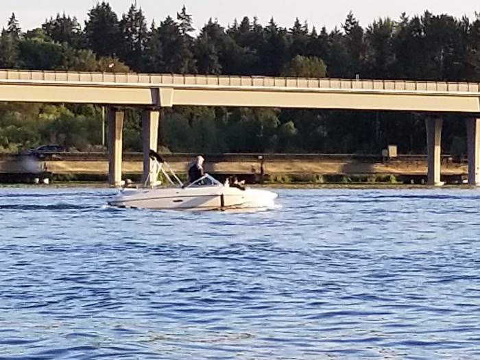 it's a boat with it's fenders down!