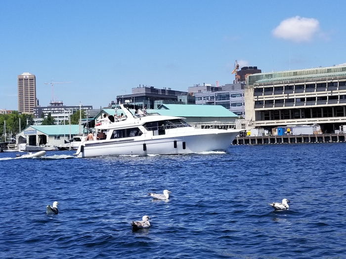 it's a boat with it's fenders down!